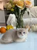 Фото №2 к объявлению №178098 о продаже британская короткошёрстная - купить в Швейцарии заводчик