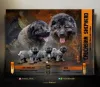 Дополнительные фото: Щенки кавказской немецкой овчарки