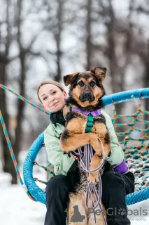 Дополнительные фото: Фьючерс ищет дом!