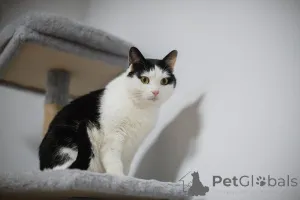 Фото №1.  - купить в Химках за Бесплатно. Объявление №159454