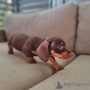 Фото №4. Продажа  в Барри  - цена Бесплатно