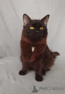 Фото №1.  - купить в Москве реке за Бесплатно. Объявление №164495