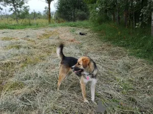 Фото №3. Ультра - молодая, добрая, ласковая девочка, которая ищет свою любящую семью!.  Россия