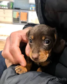 Дополнительные фото: Перегрузка привлекательности!