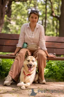 Фото №3. Пеппи ищет дом. И ждёт его всей душой..  Россия