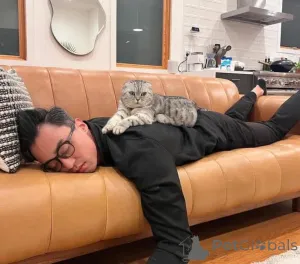 Дополнительные фото: Нам так грустно видеть, что наш новый помет скоро отправится в новый дом!!