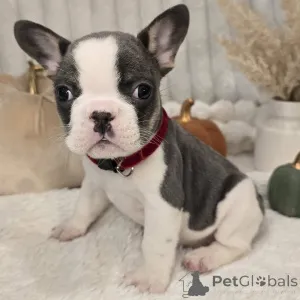 Дополнительные фото: Милые, шикарные и уютные кокосы, готовые украсть ваше сердце в истинно