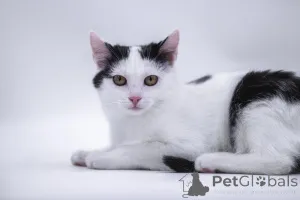 Фото №1.  - купить в Москве реке за Бесплатно. Объявление №155317