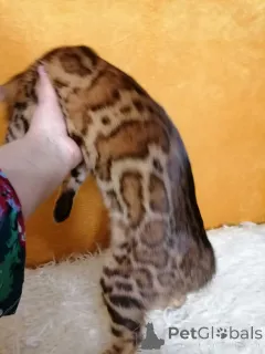 Дополнительные фото: Айгуль Хисматуллина