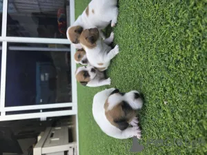 Фото №3. Ашдод.  Израиль