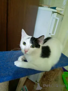 Фото №1.  - купить в Минске за Бесплатно. Объявление №162452