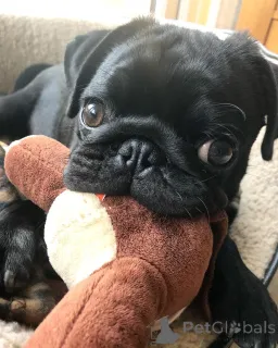 Дополнительные фото: Красивые родители, проведенные