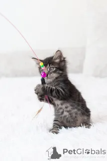 Дополнительные фото: Срочно ищут дом три малыша-солнышка.