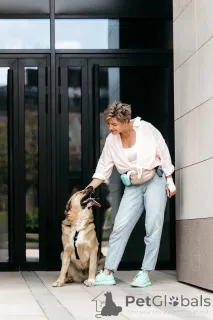 Дополнительные фото: Дынька ждёт своего человека.