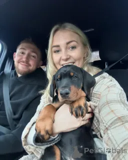 Фото №1.  - купить в Берлине за 60299₽. Объявление №140569