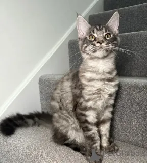 Фото №3. Одна девушка, один мальчик готов уйти. США