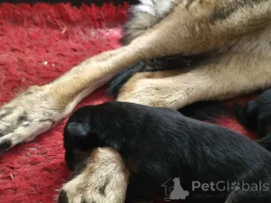 Фото №3. Alexander Morozov.  Эстония