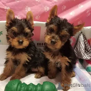 Фото №2 к объявлению №162907 о продаже  - купить в Испании 