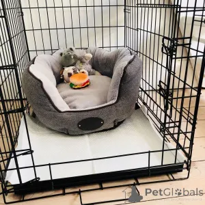 Фото №4. Продажа  в Андерлехт  - цена договорная