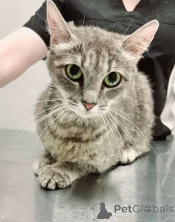 Фото №1.  - купить в Москве реке за Бесплатно. Объявление №149171