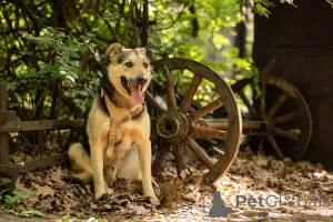 Дополнительные фото: Барри ищет своего человека!