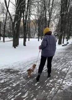 Дополнительные фото: Услуги Хендлера в Минске