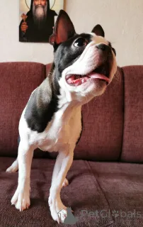 Дополнительные фото: Широкие крылья ангел