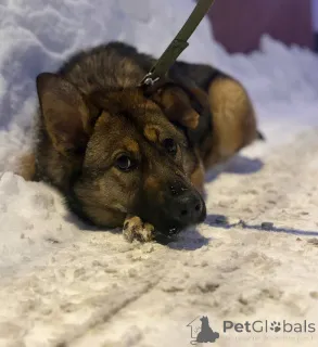 Фото №4. Продажа  в Москве реке частное объявление - цена Бесплатно