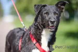 Фото №3. Ночка - очень добрая и очень своя. Та, с кем легко и радостно каждый день..  Россия