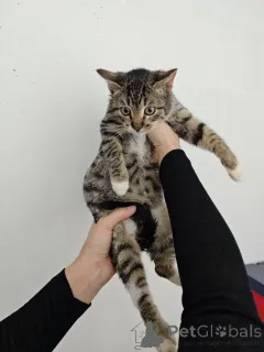 Фото №4. Продам  в Москве реке частное объявление - цена Бесплатно