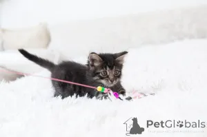 Фото №4. Продам  в Москве реке  - цена Бесплатно