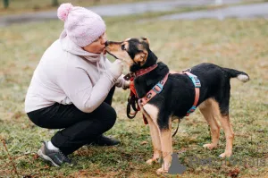 Дополнительные фото: Очаровательная Молли ищет дом
