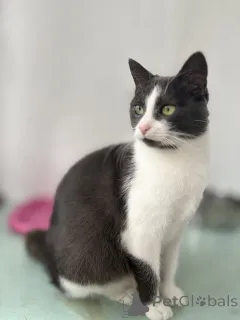 Фото №1.  - купить в Минске за Бесплатно. Объявление №156450