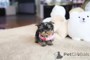 Фото №3. Дом декана Джанет Кей.  США