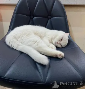 Дополнительные фото: ДЕВОЧКА ИЩЕТ СВОЙ ДОМ