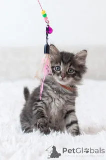 Дополнительные фото: Срочно ищут дом три малыша-солнышка.