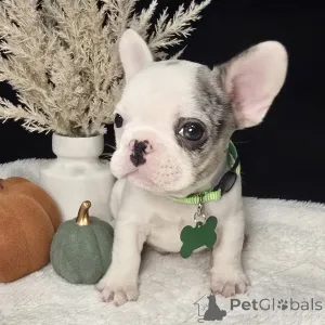 Фото №3. Милые, шикарные и уютные кокосы, готовые украсть ваше сердце в истинно.  Ирландия