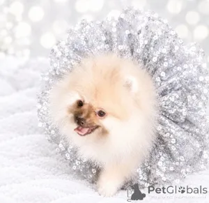 Дополнительные фото: Чудесная малышка! Baby face!