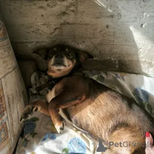 Дополнительные фото: Чудесный мальчик Митя из приюта ищет семью.