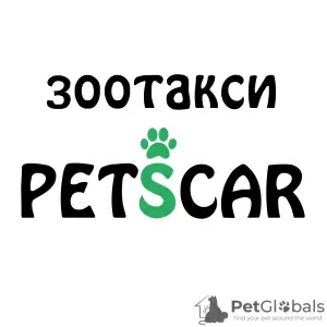 Фото №1 Услуги по доставке и перевозке котов и собак Москва. Объявление №36932