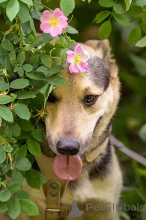 Дополнительные фото: Барри ищет своего человека!
