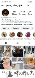 Дополнительные фото: Игрушка щенка и мини -щенка