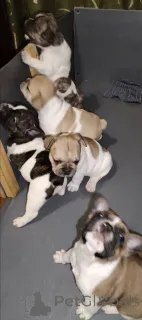 Фото №3. Предлагаю резервирование.  Украина