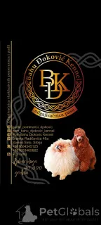 Дополнительные фото: Игрушка щенка и мини -щенка