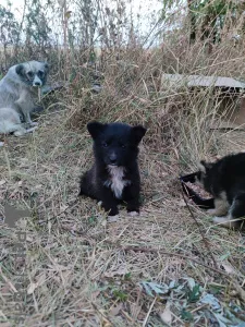 Фото №4. Продажа  в Белгороде  - цена Бесплатно