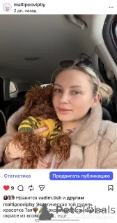 Фото №4. Продажа мальтипу в Минске из питомника - цена 161763₽