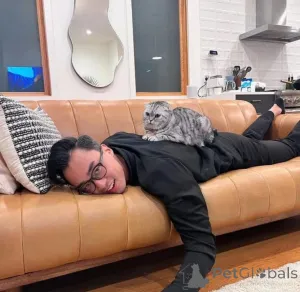 Фото №1.  - купить в Август Бург за договорная. Объявление №165469