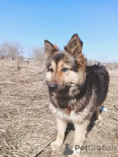 Дополнительные фото: Кому Пальму в дом?!