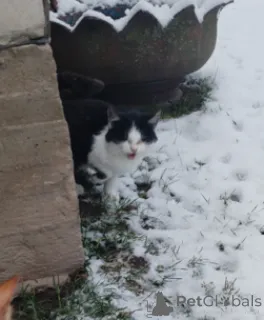 Фото №1.  - купить в Минске за Бесплатно. Объявление №164335