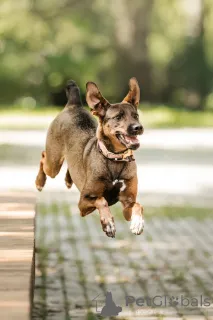 Фото №3. Стася ищет дом и сердце, в котором она снова будет нужной..  Россия